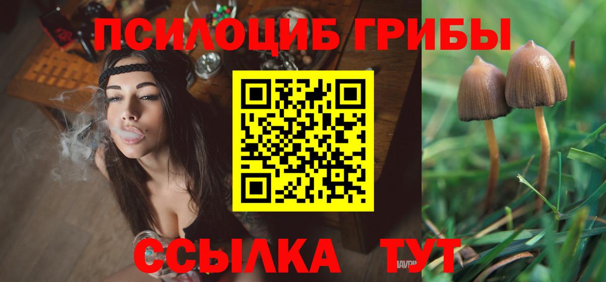 Елабуга  Галлюциногенные грибы прущие грибы  Вход с VPN 