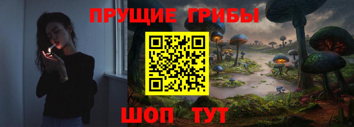 Псилоцибиновые грибы мицелий Елабуга